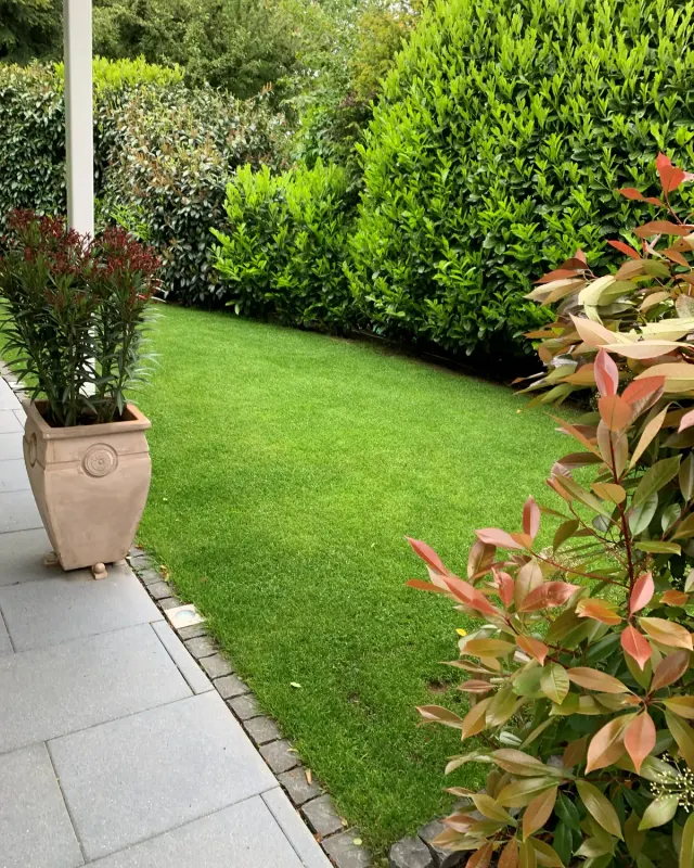 Garten mit Rasen und Terrassen