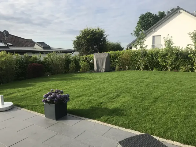 Rasengarten mit Terrasse und Hecke
