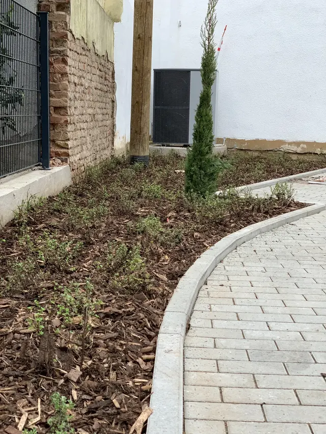 Frisch angelegtes Beet entlang eines geschwungenen Wegs