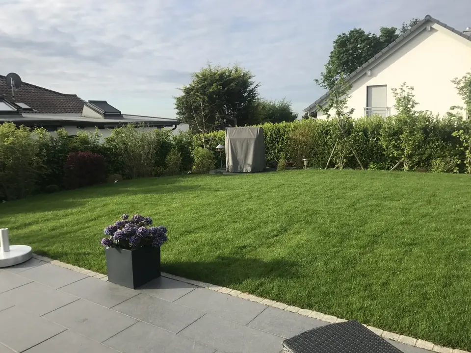 Rasengarten mit Plattenterrasse und Hecke entlang der Grundstücksgrenze